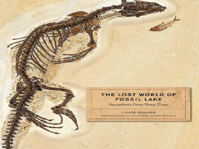 The Lost World of Fossil Lake: Snapshots from Deep Time – Chicago, University of Chicago Press