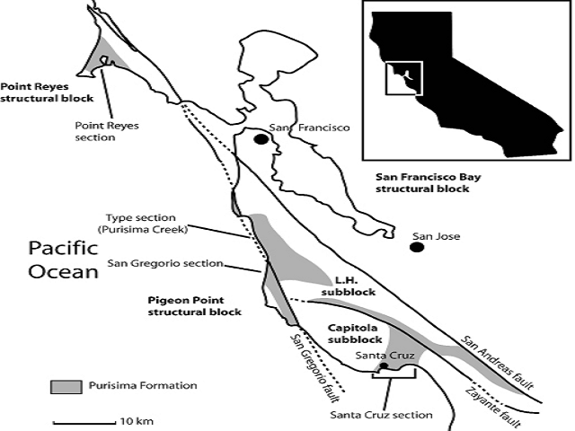 Generalized geologic map of part of central California, showing relevant tectonic features, and major localities and exposures of the Purisima Formation. Inset shows California and box showing location of map. L.H. subblock = La Honda subblock of the Santa Cruz structural block; Capitola subblock is also part of the Santa Cruz structural block. Faults are shown as black lines, or dashed where uncertain