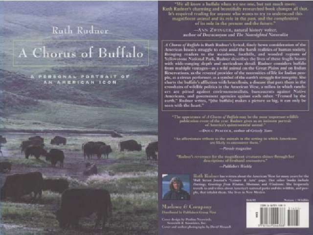 A chorus of buffalo